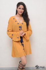 Lavanya Tripathi At Srirastu Subhamastu Movie Trailer Launch